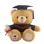 Graduation Bear