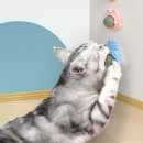 Catnip Rotating Ball Catnip Rotating Ball