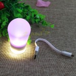 Portable Magnetic Lamp