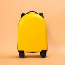 Boarding Case