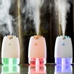 Rose USB air humidifier