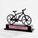 Mountain Bike Trophy
