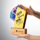 金屬水晶實木獎座