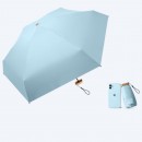 Pocket Umbrella