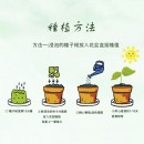 Seed Paper Cup Mat
