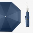 Folding Umbrella