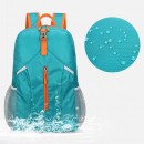 Folding Backpack