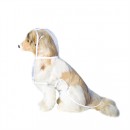 Dogs Waterproof Poncho