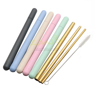 Stainless Steel Straw with Tube