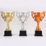 Gold, Silver and Bronze Trophies