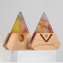 Colorful Crystal Trophy