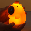 Capybara taps the small night light Capybara taps the small night light