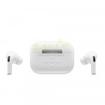 TWS Bluethooth Earbuds