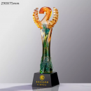 Glass Crystal Trophy