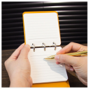 Palm Notebook Palm Notebook