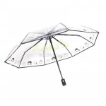 Transparent Folding Umbrella