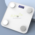 Electronic Health Scale