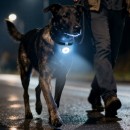 迷妳便攜磁吸式手電筒補光燈 迷妳便攜磁吸式手電筒補光燈