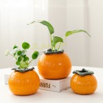 Orange Ceramic Flower Pot