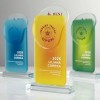 Crystal Trophy
