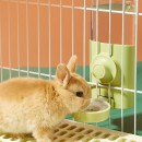 Rabbit and Guinea Pig Pet Water Dispenser Rabbit and Guinea Pig Pet Water Dispenser