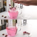 Glass Cup with Infuser