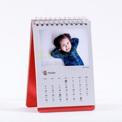 Desk Calendars (80)