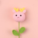 Graduates Knitting Doll Bouquets