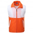 Assorted Colors Vest