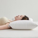 Compressed Pillow core (Pillow)