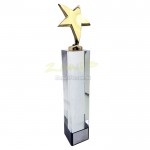 Custom Star Trophy