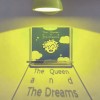 Projection fridge magnet
