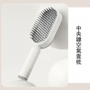 Massage Comb Gift Set