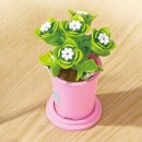 Coffee Cup Plant Series Building Blocks-12 Constellations Succulent Series Coffee Cup Plant Series Building Blocks-12 Constellations Succulent Series