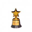 Plastic Star Trophy Plastic Star Trophy