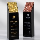 2025 Crystal Award