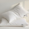Compressed Pillow core (Pillow)