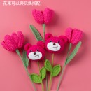 Graduates Knitting Doll Bouquets