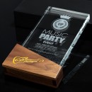 Solid Wood Cube Crystal Trophy