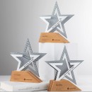 Solid Wood Metal Award