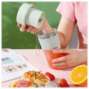 Portable Juicer