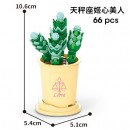 Coffee Cup Plant Series Building Blocks-12 Constellations Succulent Series Coffee Cup Plant Series Building Blocks-12 Constellations Succulent Series
