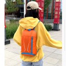 Folding Backpack