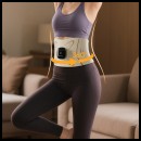 Waist Pulse Massager Waist Pulse Massager