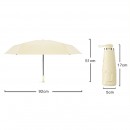 Foldable Umbrella