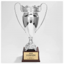Large Metal Trophy Large Metal Trophy