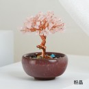 盆景水晶树