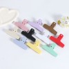 Magnetic Refrigerator Clip