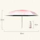 Gradient Folding Umbrella
