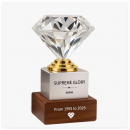 钻石水晶实木奖座